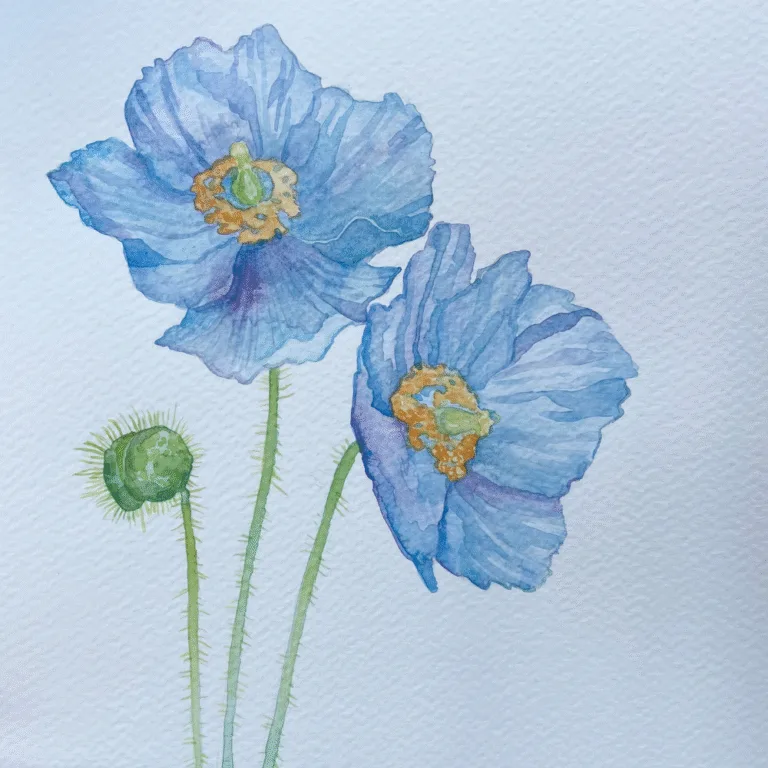 Painting Flora and Fauna in Watercolor
