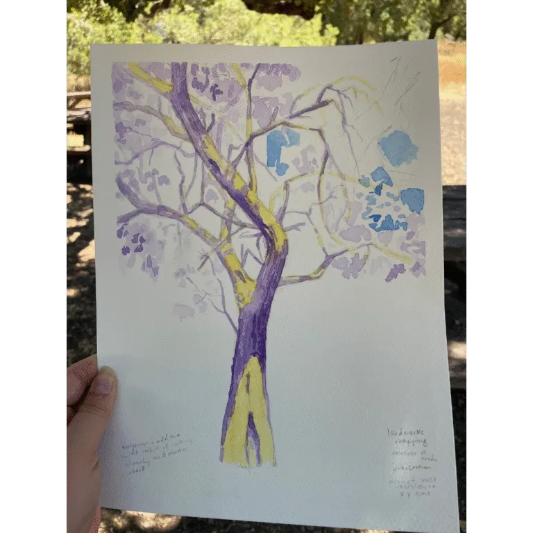 Sold Out – Drawing Trees in Mixed Media: A Day at Jack London Park