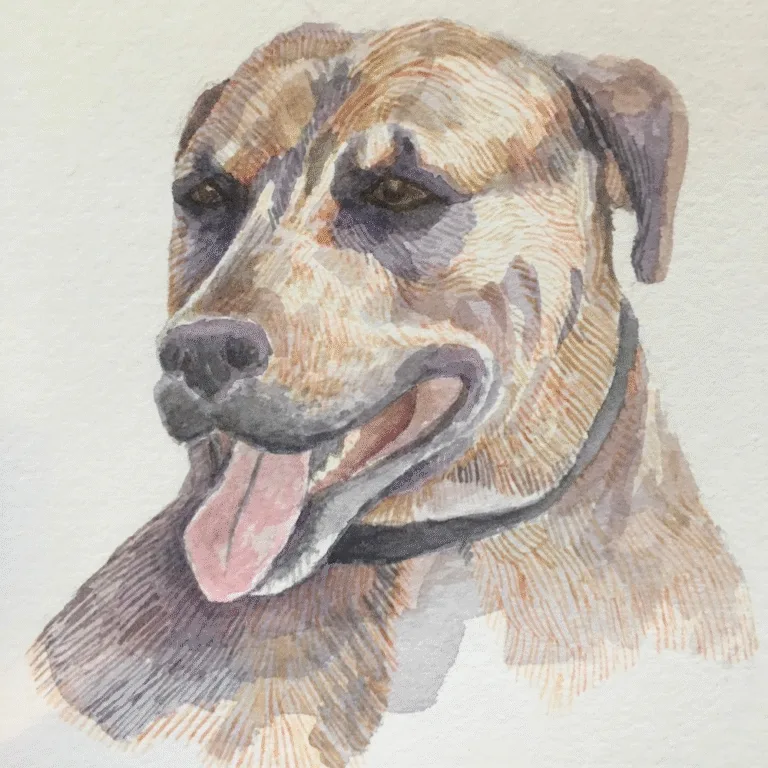 Paint a Pet Portrait