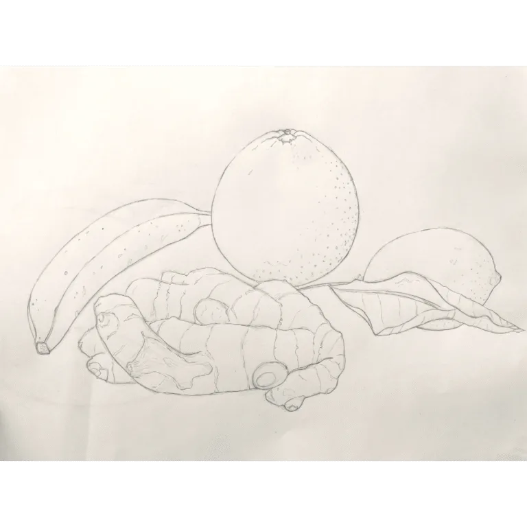 Developing Your Drawing Eye