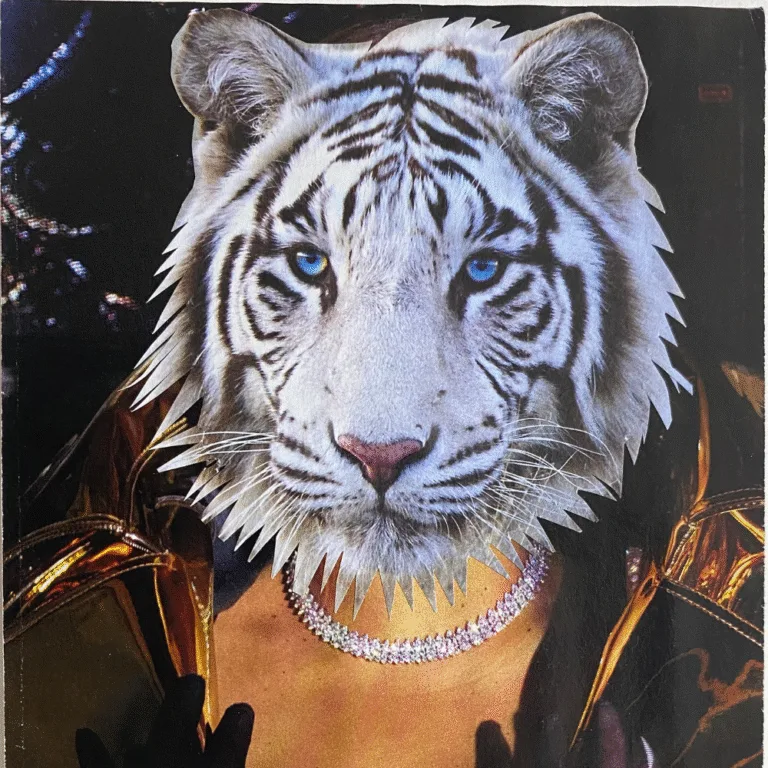 SoulCollage: Art of the Imaginal Soul