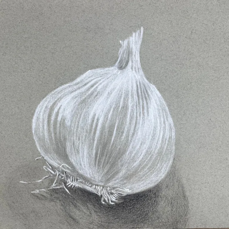 Developing Your Drawing Eye