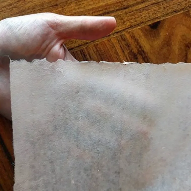 Japanese Papermaking