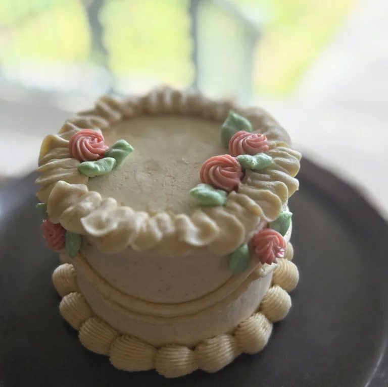 DIY Bento Cake Decorating Workshop