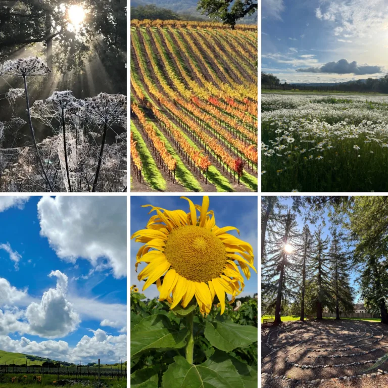 Earth Day Photo Contest – The Power of Water