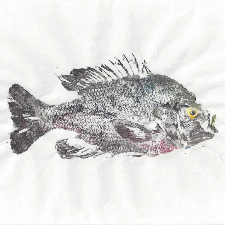 Print Lab – “Gyotaku” The Art of Fish Printing